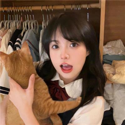 布朗克斯的故事